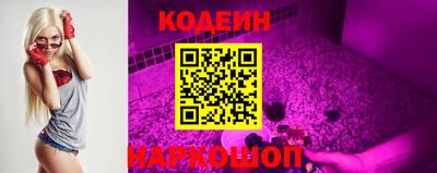 индика Будённовск