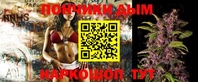 индика Будённовск