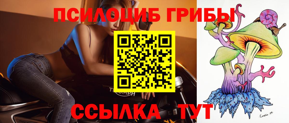 Магадан  Псилоцибиновые грибы Psilocybine cubensis  продажа наркотиков  Вход с VPN 